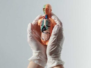 anatomy-course.jpg