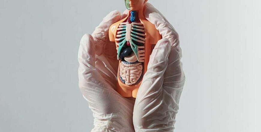 anatomy-course.jpg
